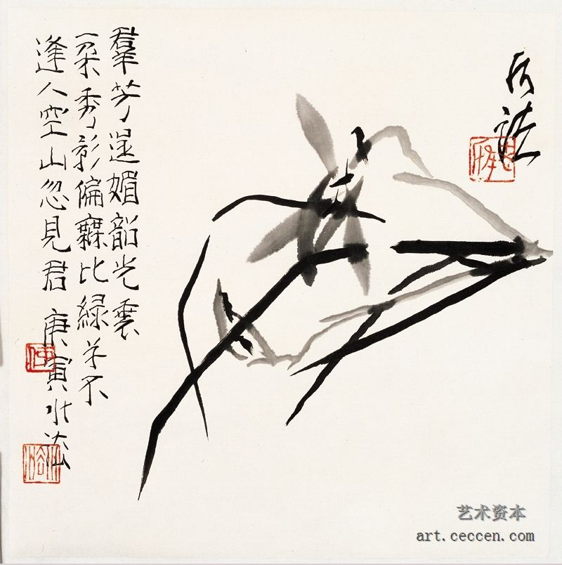 墨兰 2010